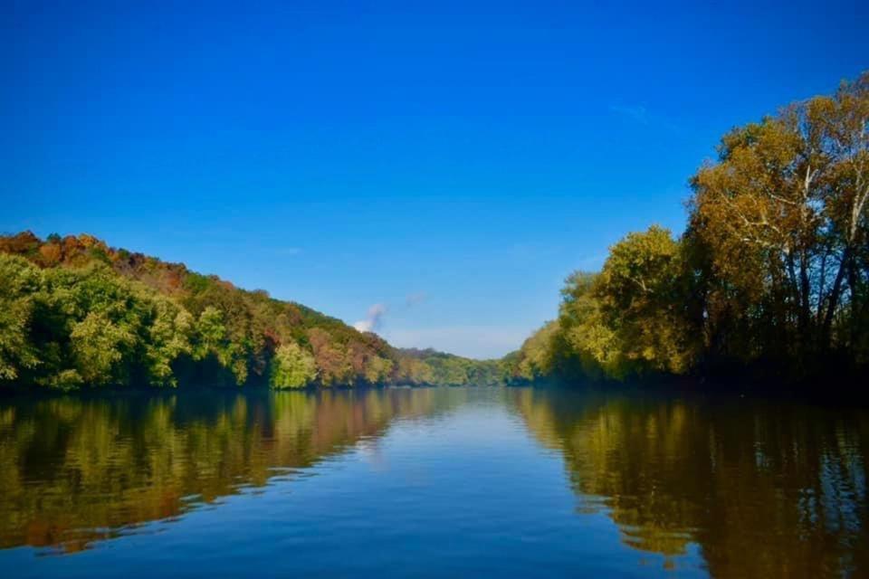 Martin'S River Cabin Dresden Dış mekan fotoğraf